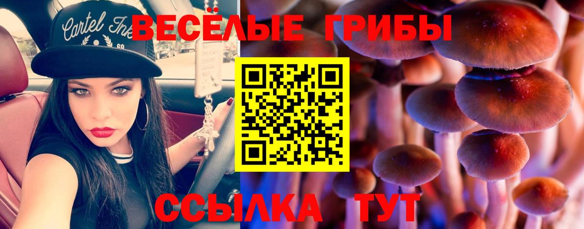 Галлюциногенные грибы прущие грибы  Вход с VPN  Псилоцибиновые грибы Psilocybe  Великий Устюг 